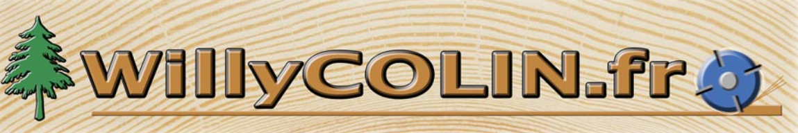 WILLY COLIN - logo