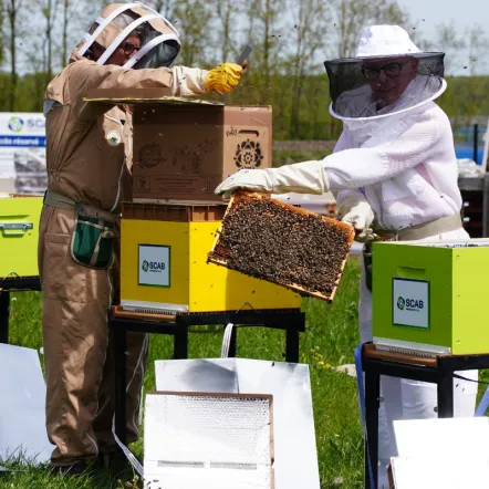 Favoriser la biodiversité avec des ruches